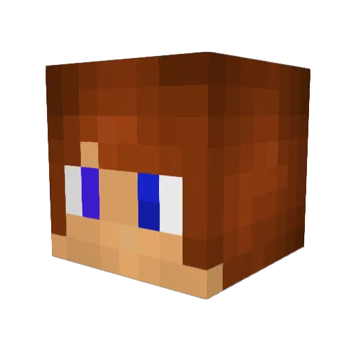 Ripplow Minecraft avatar head, 3D render