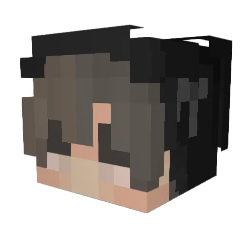 Ripsaw21 Minecraft avatar head, 3D render