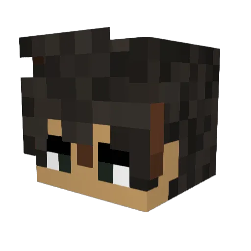 Riptailz Minecraft avatar head, 3D render