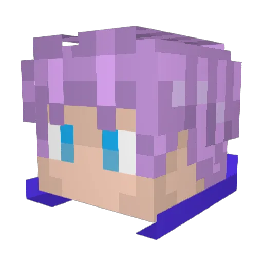 Riptide1129 Minecraft avatar head, 3D render