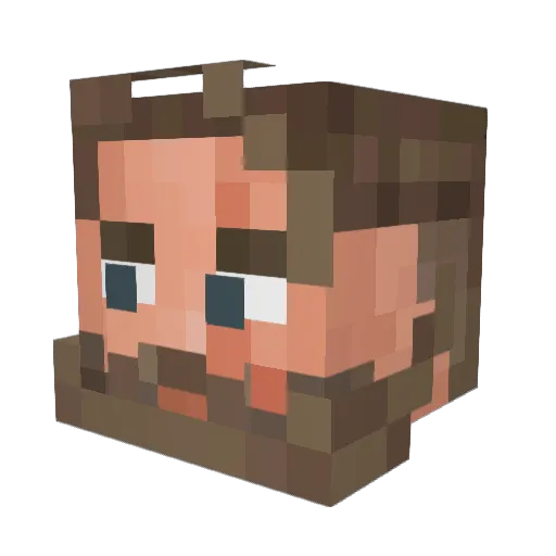 Riptide770 Minecraft avatar head, 3D render
