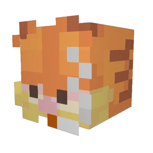 RiptideWaves Minecraft avatar head, 3D render