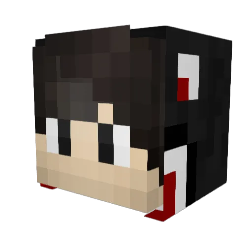 Riqos Minecraft avatar head, 3D render