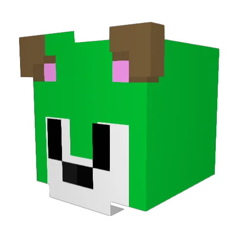 Riqta Minecraft avatar head, 3D render