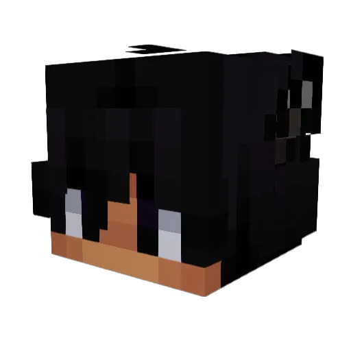 RiqueTheMexican Minecraft avatar head, 3D render