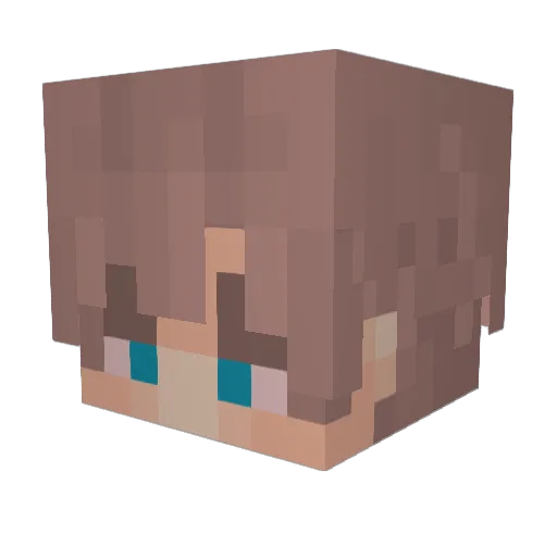 Riqui05 Minecraft avatar head, 3D render