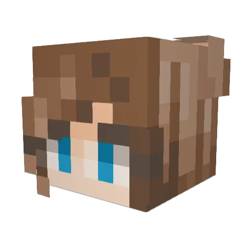 Riri25 Minecraft avatar head, 3D render