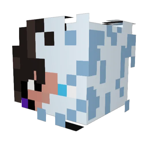 Riri_levrai Minecraft avatar head, 3D render
