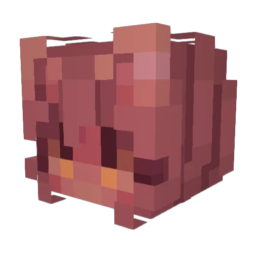 Ririii Minecraft avatar head, 3D render