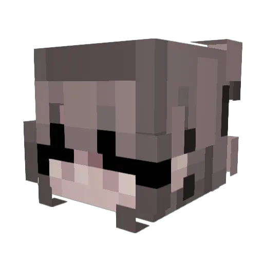 Ririty Minecraft avatar head, 3D render