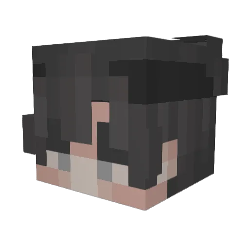 RisE_DeMoN Minecraft avatar head, 3D render