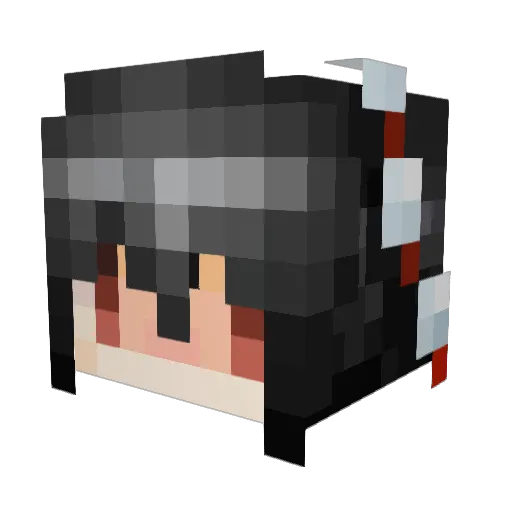 Risa_8008 Minecraft avatar head, 3D render