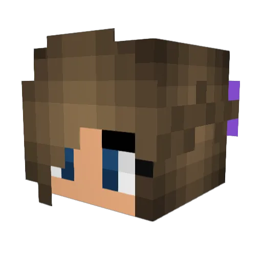 Risadon Minecraft avatar head, 3D render