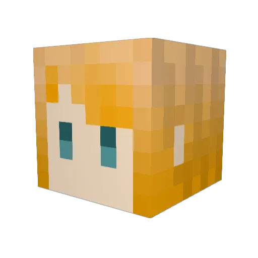 Risakuel Minecraft avatar head, 3D render