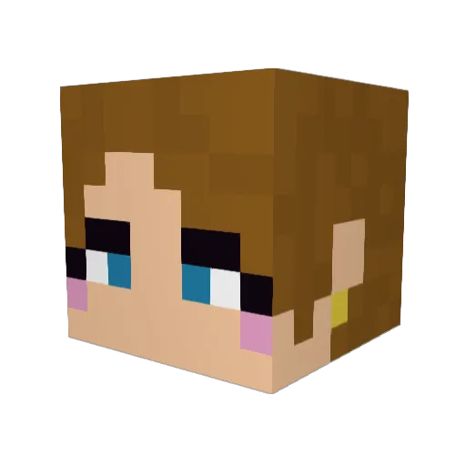 Risallinko Minecraft avatar head, 3D render
