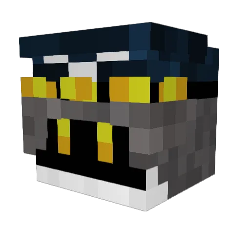 Risan12 Minecraft avatar head, 3D render