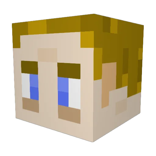 Risaracy Minecraft avatar head, 3D render