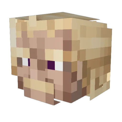 Rise7849 Minecraft avatar head, 3D render