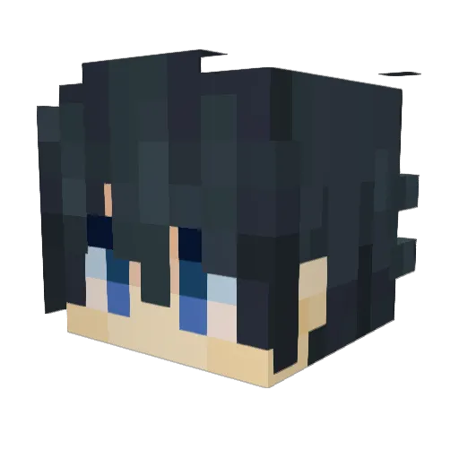 Risekun Minecraft avatar head, 3D render