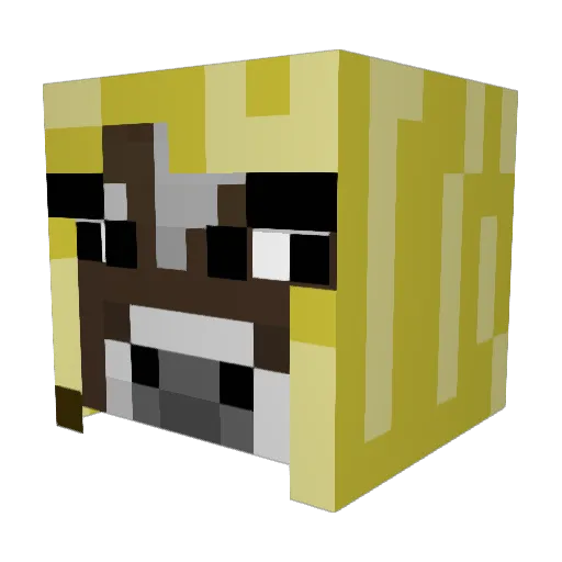 RisenPhoenix24 Minecraft avatar head, 3D render