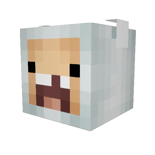 Risha3 Minecraft avatar head, 3D render