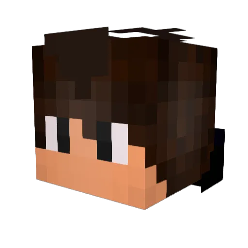 Rishard22 Minecraft avatar head, 3D render