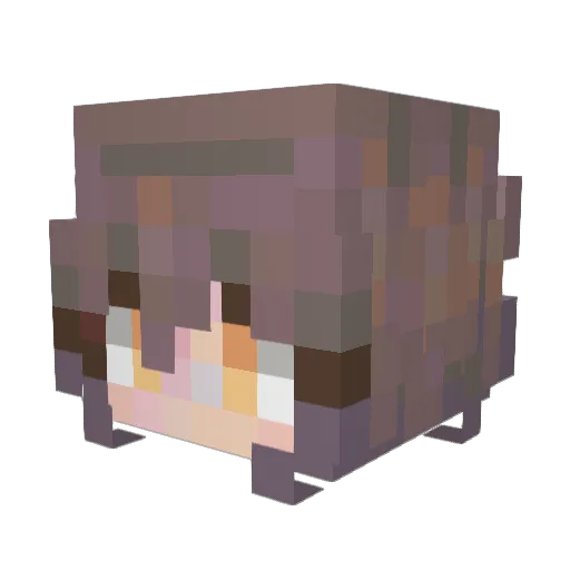 Risheng Minecraft avatar head, 3D render