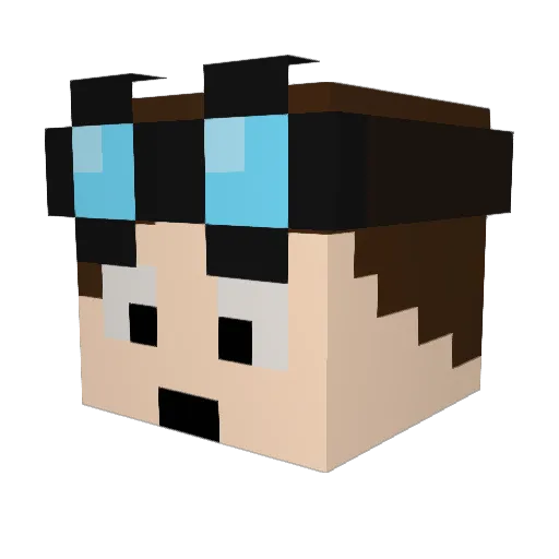 Rishj21 Minecraft avatar head, 3D render
