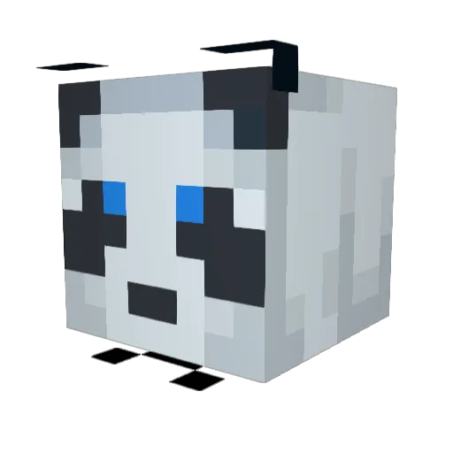 Risin247 Minecraft avatar head, 3D render