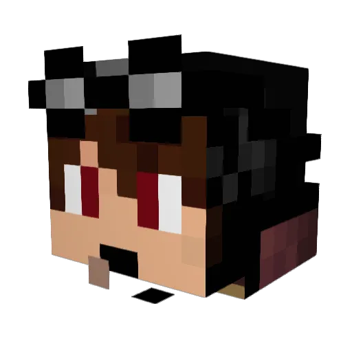 Risk1958 Minecraft avatar head, 3D render