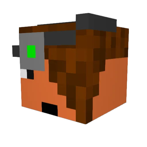 RiskABiskut420 Minecraft avatar head, 3D render