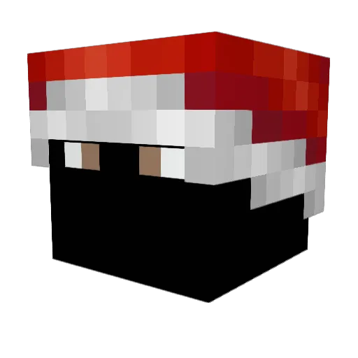 Riskakos Minecraft avatar head, 3D render