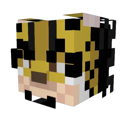 Risky64 Minecraft avatar head, 3D render