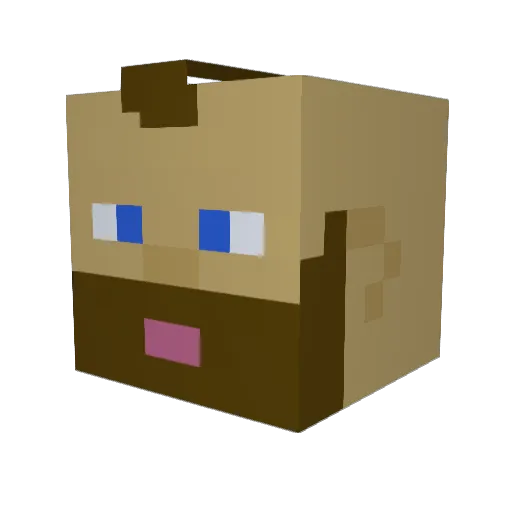 RiskyChicken Minecraft avatar head, 3D render