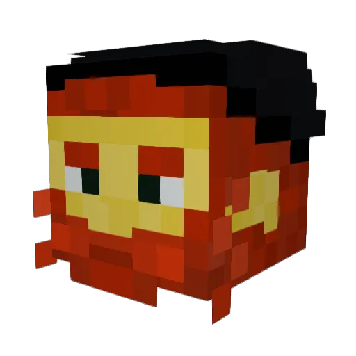 RiskyReel37 Minecraft avatar head, 3D render