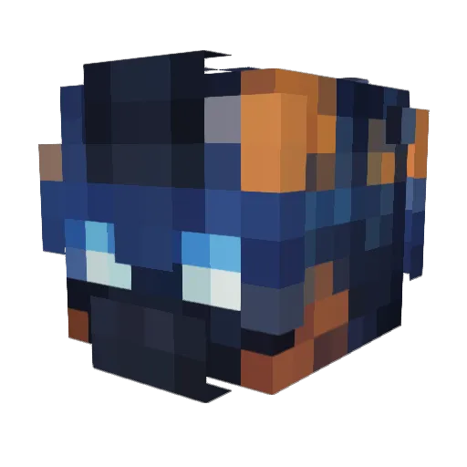 RiskyRift999 Minecraft avatar head, 3D render
