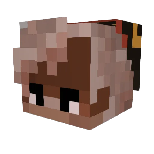 RiskyRunaway Minecraft avatar head, 3D render