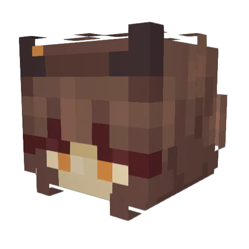 RiskySkydiver Minecraft avatar head, 3D render