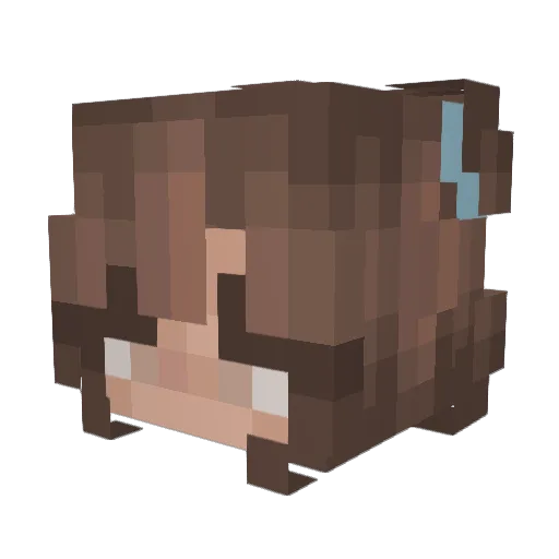 Risky_Bisk Minecraft avatar head, 3D render