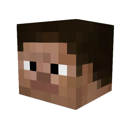Riskyfrog Minecraft avatar head, 3D render