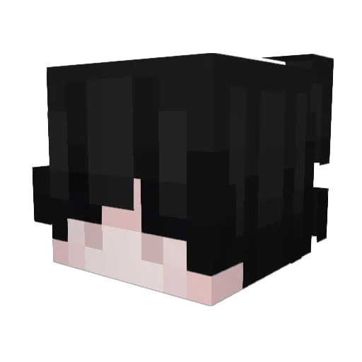 Rismaw Minecraft avatar head, 3D render