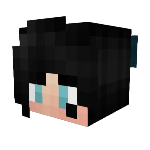 Rissa1007 Minecraft avatar head, 3D render