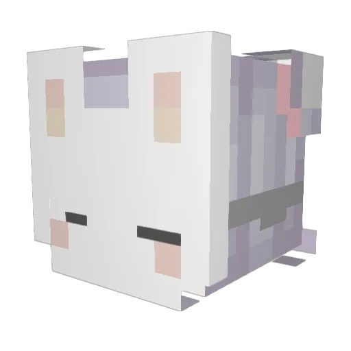 RissaBunni Minecraft avatar head, 3D render