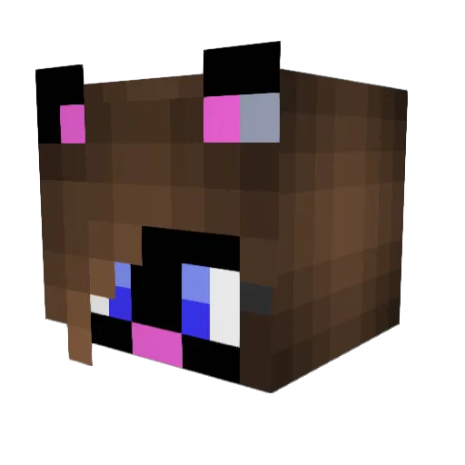 Risskitty Minecraft avatar head, 3D render