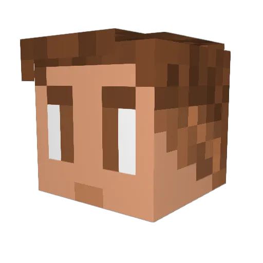 Rissy69 Minecraft avatar head, 3D render