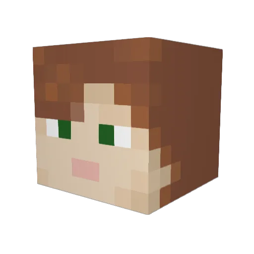 Riswyn Minecraft avatar head, 3D render