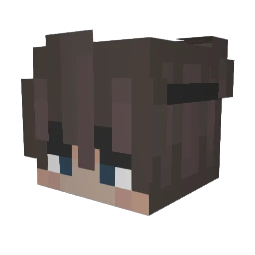 Ritalox Minecraft avatar head, 3D render
