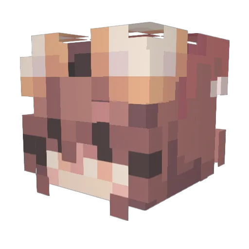 Ritapie Minecraft avatar head, 3D render