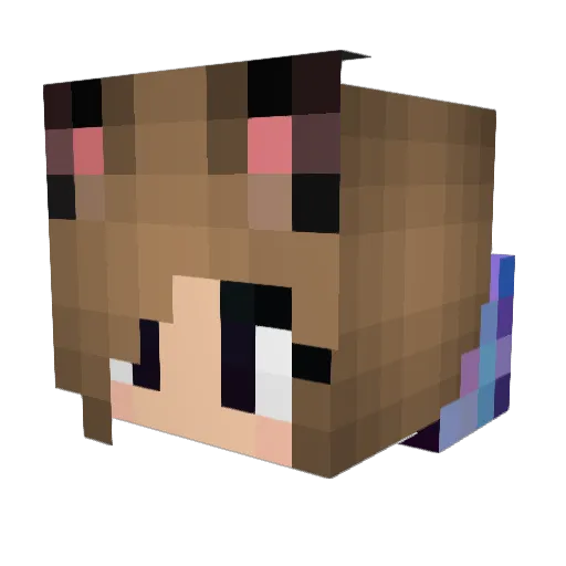 Ritch23 Minecraft avatar head, 3D render