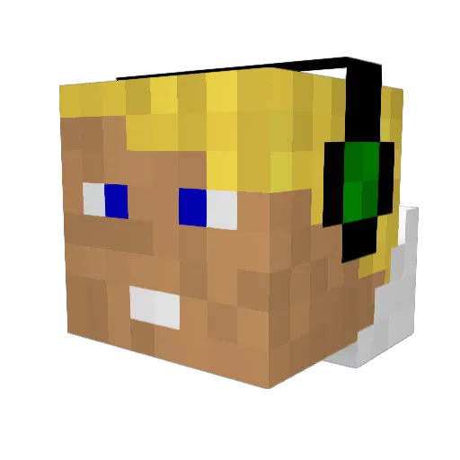 Ritchi1001 Minecraft avatar head, 3D render